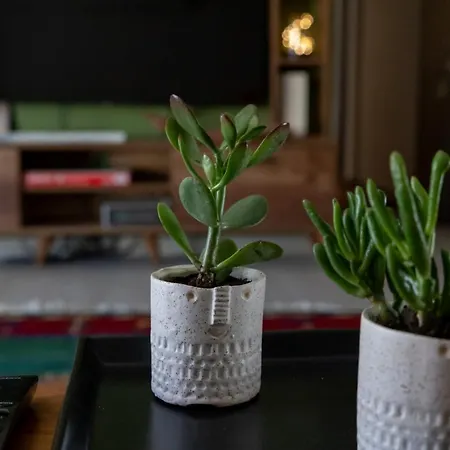 Daire Art House Dırama